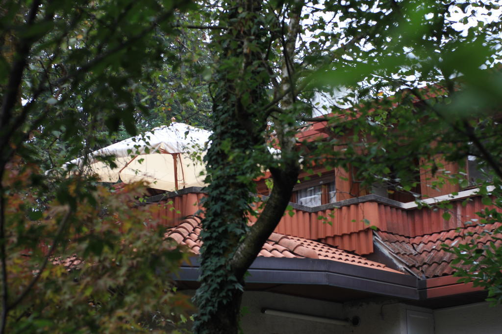 App Carolina Apartment Creazzo Ruang foto